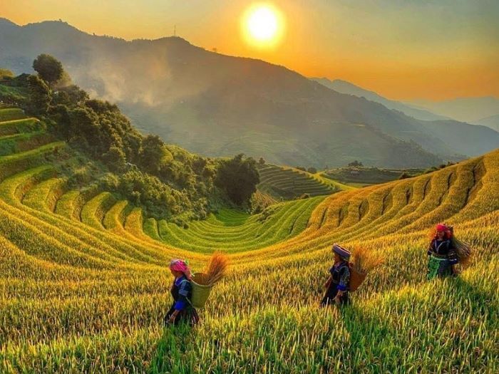 Capture the vibrant beauty of Vietnam’s coastal heritage post-visa
